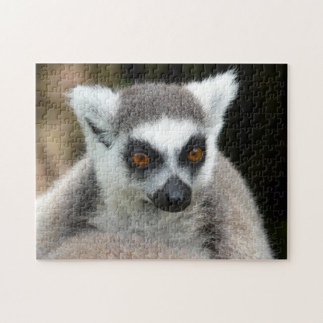 Quebra-cabeça lemur (Horizontal)