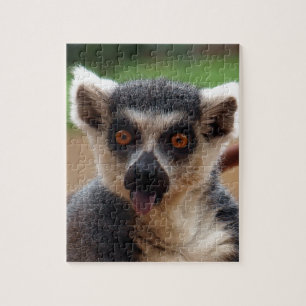 Quebra-cabeça Lemur