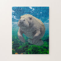 Lentamente para baixo e faça deriva para manatear 