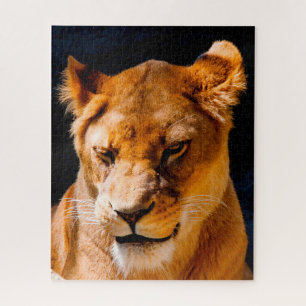 Quebra-cabeça Leoa Grandes Felinos.