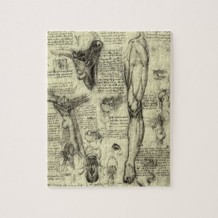 Quebra-cabeça Leonardo da Vinci Vintage Anatomia Humana Laringe