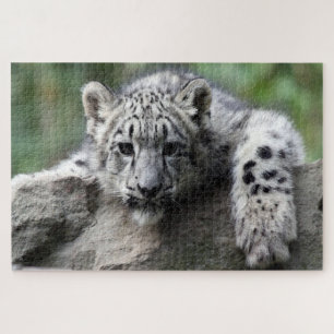 Quebra-cabeça Leopardo branco bebê olhando para você a partir de