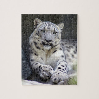Quebra-cabeça leopardo-da-neve 27