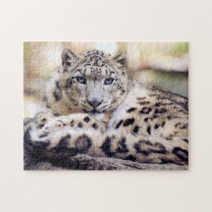 Quebra-cabeça Leopardo de Neve