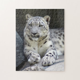 Quebra-cabeça leopardo de neve 6