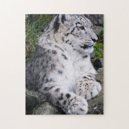 Quebra-cabeça Leopardo de neve para fora refrigerado