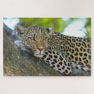 Quebra-cabeça Leopardo do Botsuana