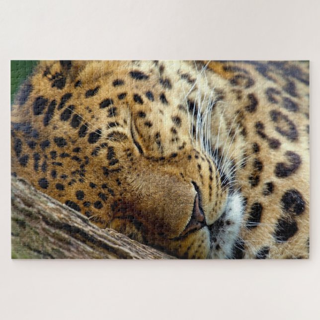 Quebra-cabeça Leopardo dormindo em um tronco (Horizontal)