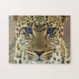 Quebra-cabeça Leopardo feroz