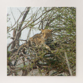Quebra-cabeça Leopardo na Árvore