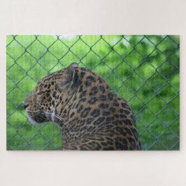 Quebra-cabeça Leopardo na Gaiola