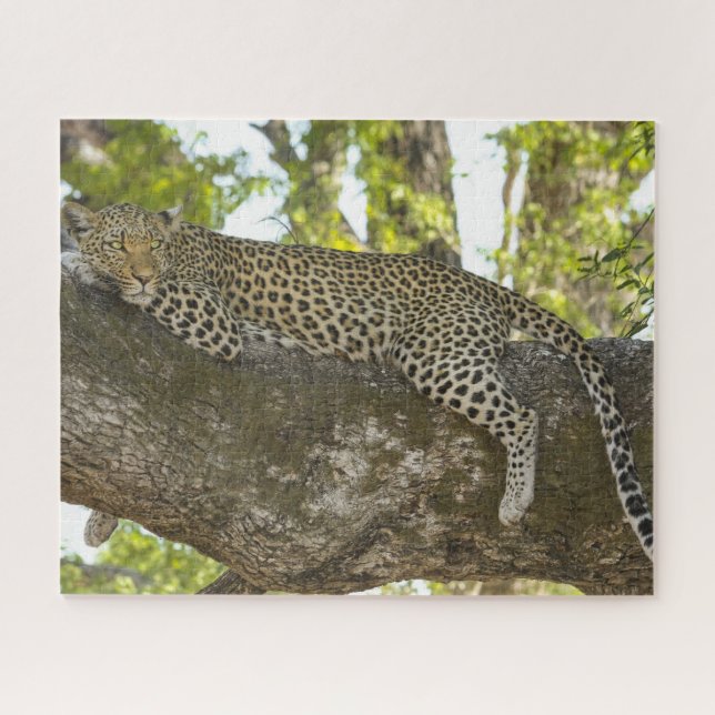Quebra-cabeça Leopardo na Tree Nature Photo (Horizontal)