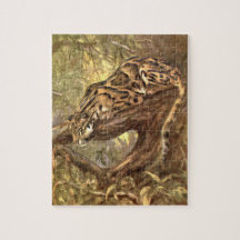 Leopardo nublado por Cisne CE, Animais Selvagens V