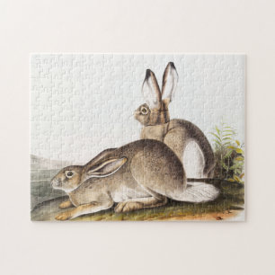 Quebra-cabeça Lepus Townsendii (Lepus Townsendii)