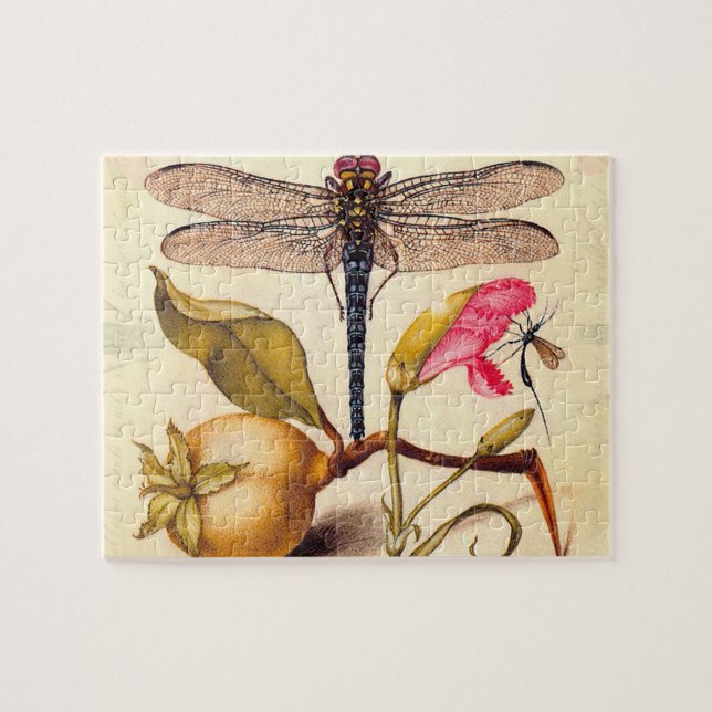 Quebra-cabeça Libélula Arte Botânico da Natureza Hoefnagel (Horizontal)