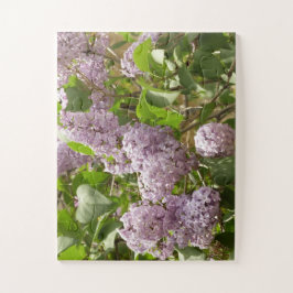 Quebra-cabeça Lilac Bush Lindas Flores de primavera Roxas