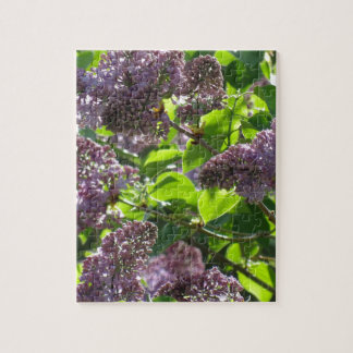 Quebra-cabeça Lilac roxo