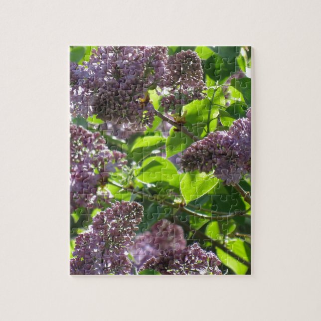Quebra-cabeça Lilac roxo (Vertical)
