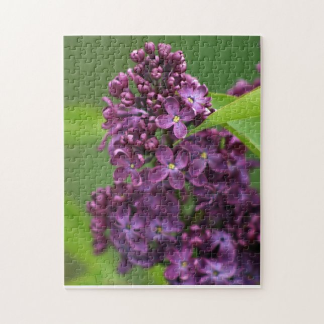 Quebra-cabeça Lilac Roxo (Vertical)