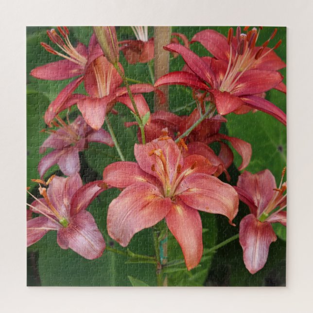 Quebra-cabeça Lilases (Vertical)