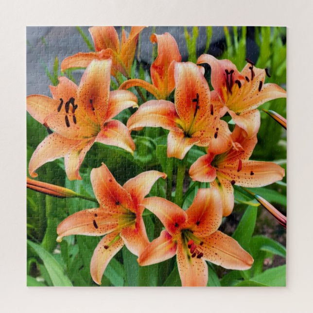 Quebra-cabeça Lilases Laranja Vibrante em Flor Plenamente (Vertical)
