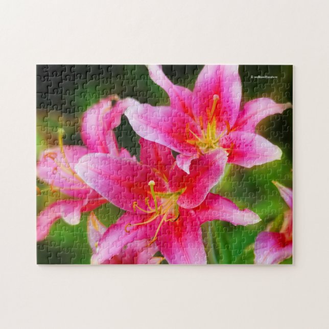 Quebra-cabeça Lilases Tocha Olímpica Rosa Quente (Horizontal)