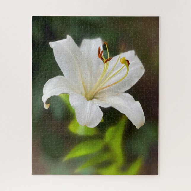 Quebra-cabeça Lily branca-selvagem (Vertical)