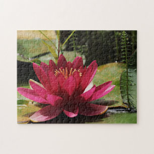 Quebra-cabeça Lily de água rosa