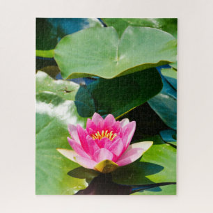 Quebra-cabeça Lily de água rosa com folhas verdes