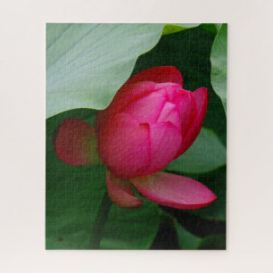 Quebra-cabeça Lily de Água Rosa contra as Folhas