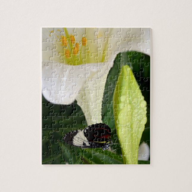 Quebra-cabeça Lily e Borboleta (Vertical)