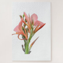 Lily Flower Botanical Art