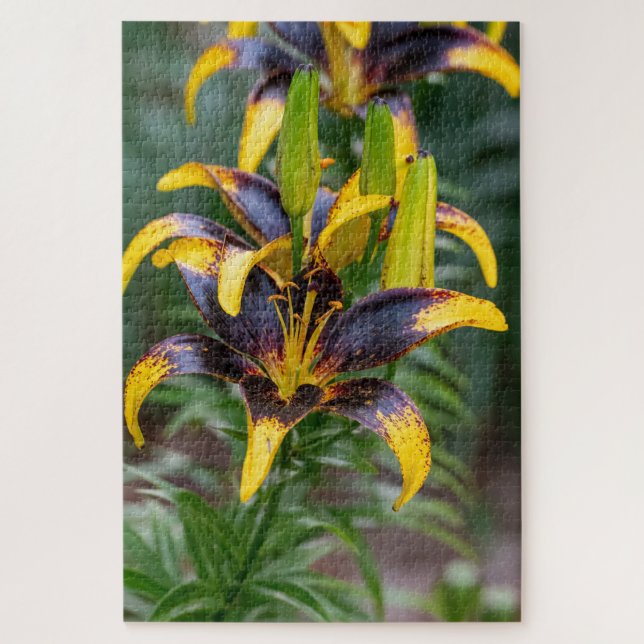 Quebra-cabeça Lily Híbrida Negra - Foto Floral Dramática (Vertical)