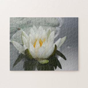 Quebra-cabeça Lily Lotus Flor