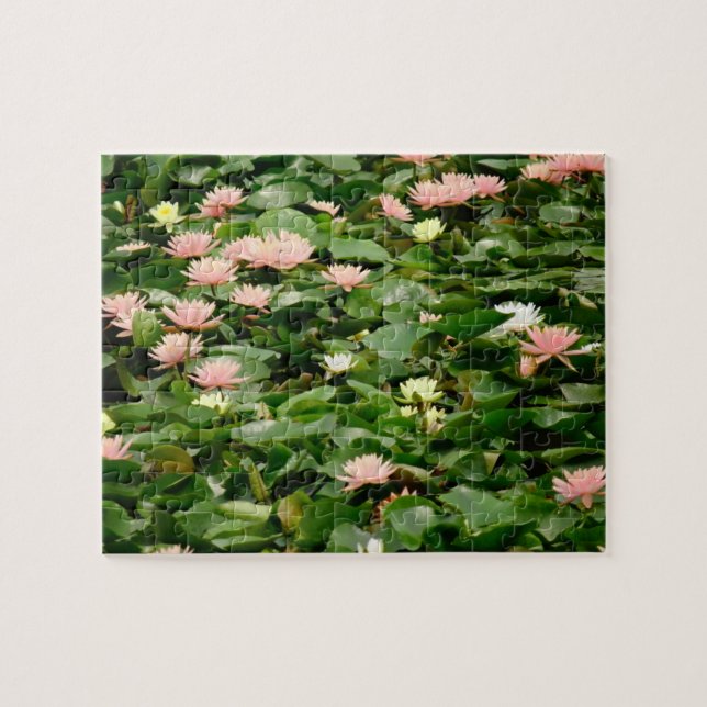 Quebra-cabeça Lily Pond (Horizontal)