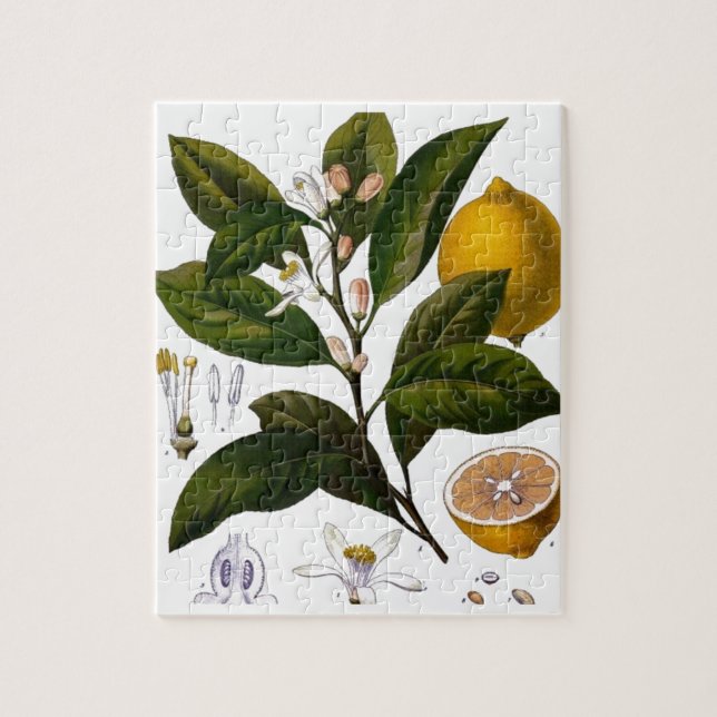 Quebra-cabeça Limão (Vertical)