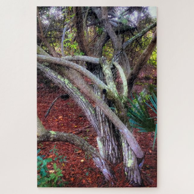Quebra-cabeça Limpeza Encantada (Vertical)