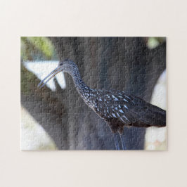 Quebra-cabeça Limpkin