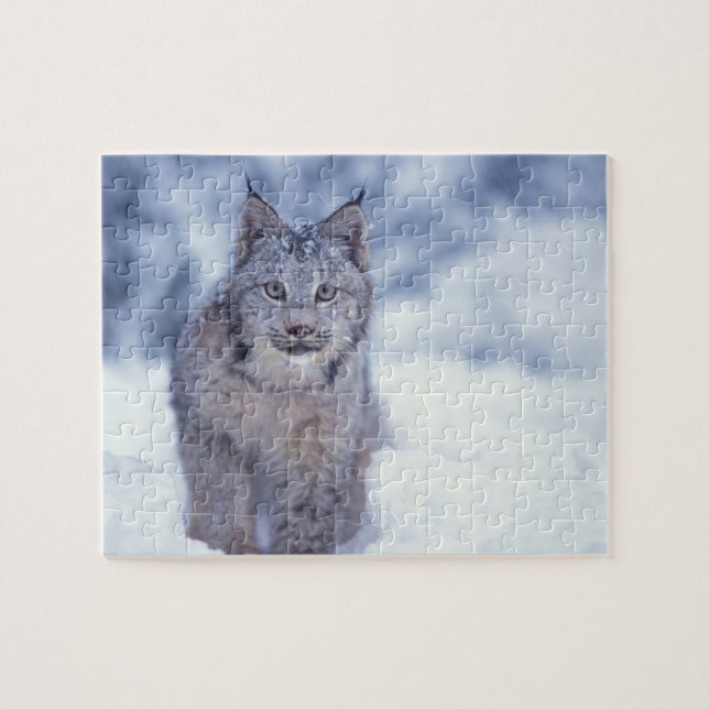 Quebra-cabeça Lince na neve nos contrafortes (Horizontal)
