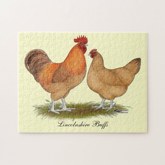 Quebra-cabeça Lincolnshire Buff Chickens (Horizontal)