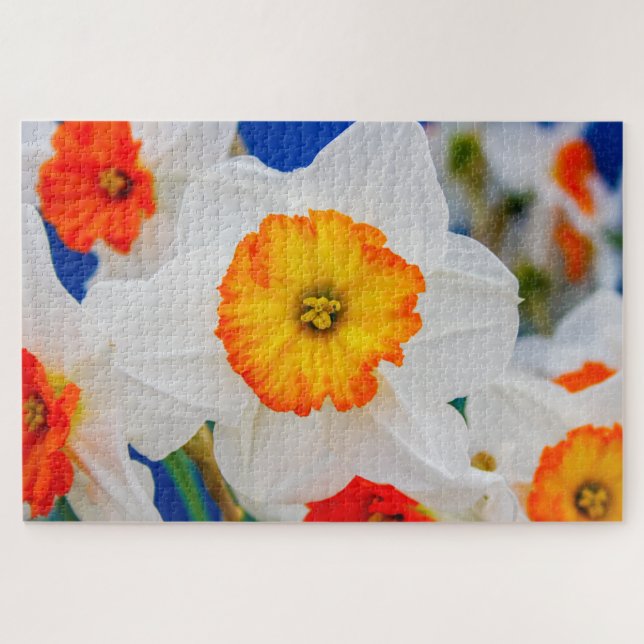 Quebra-cabeça Linda flor branca e laranja (Horizontal)