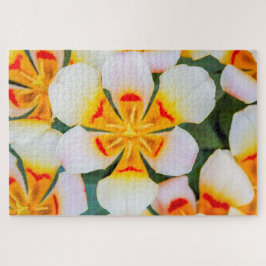 Quebra-cabeça Linda flor branca, laranja e vermelha