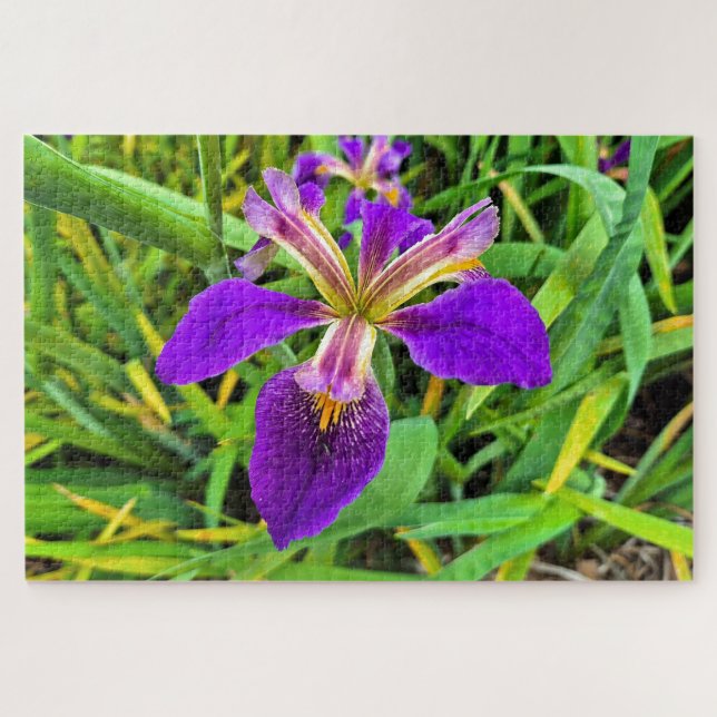 Quebra-cabeça Linda flor da íris roxa em flor (Horizontal)