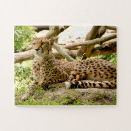 Quebra-cabeça Linda Foto De Gato De Cheetah