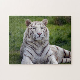 Quebra-cabeça Linda Foto do Tigre Branco