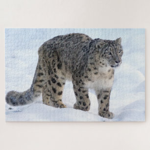 Quebra-cabeça Linda leopardo de neve