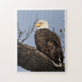 Quebra-cabeça Linda mãe (águia)