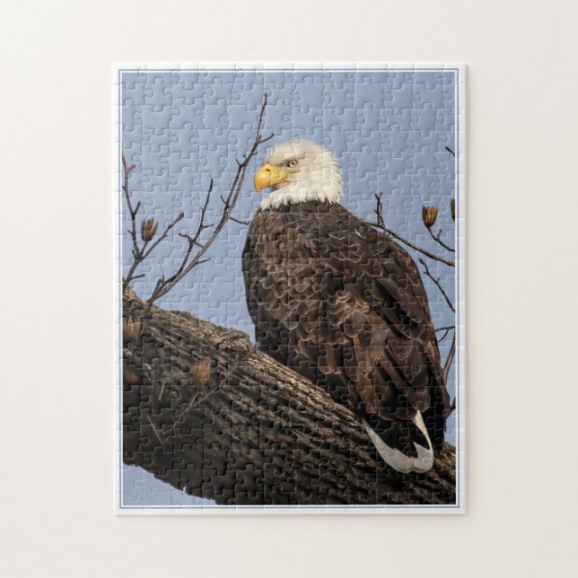 Quebra-cabeça Linda mãe (águia) (Vertical)