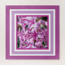 Linda Primavera Hyacinth Fragrante Flor de Borrão