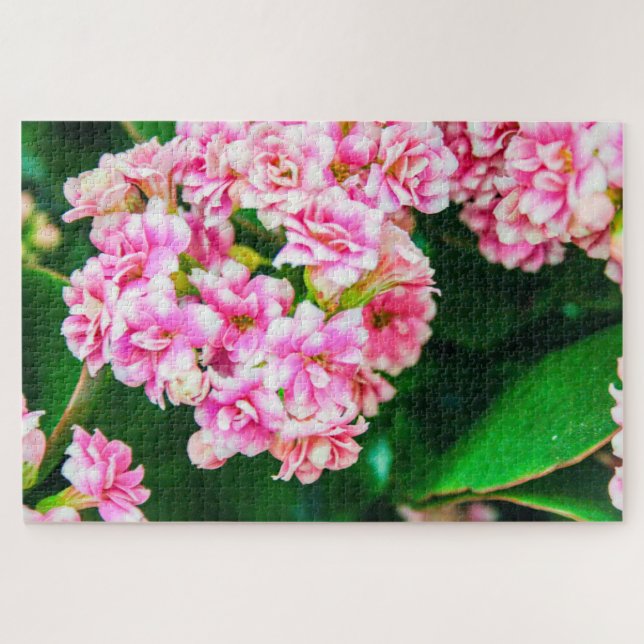 Quebra-cabeça Lindas flores brancas e rosa (Horizontal)